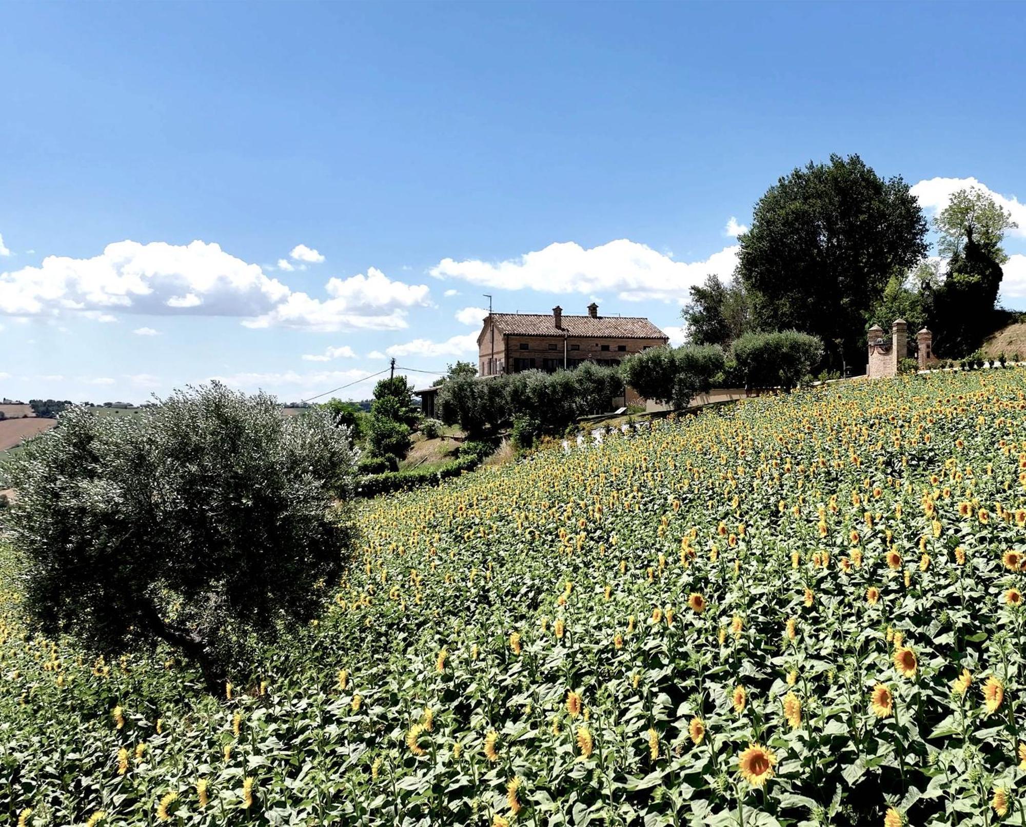 Bed And Breakfast La Vecchia Scuola Montefano Dış mekan fotoğraf